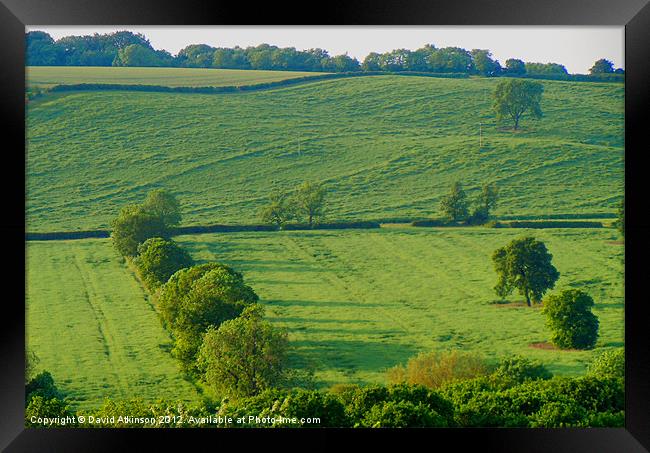 GREEN AND PLEASANT LAND Framed Print by David Atkinson
