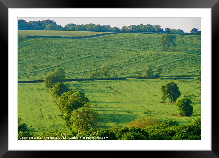 GREEN AND PLEASANT LAND Framed Mounted Print by David Atkinson