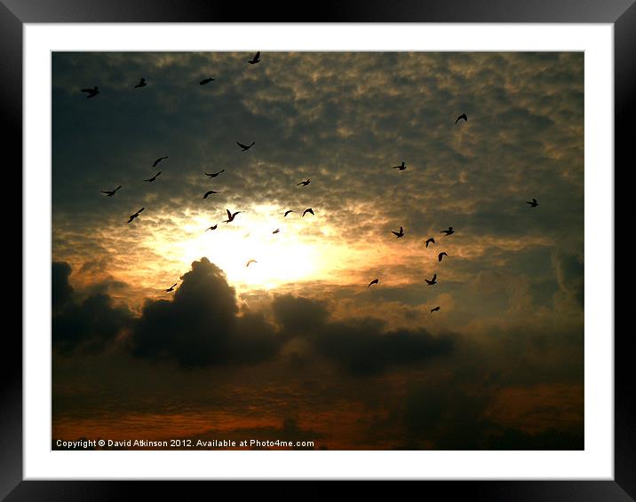 THE FLY PAST Framed Mounted Print by David Atkinson