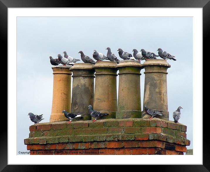 WAITING FOR TAKE-OFF Framed Mounted Print by David Atkinson