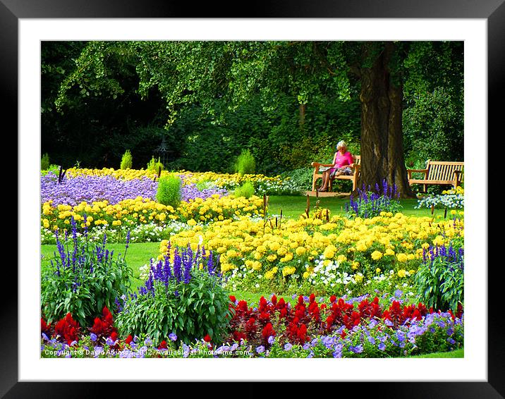 FLOWERS IN THE PARK Framed Mounted Print by David Atkinson