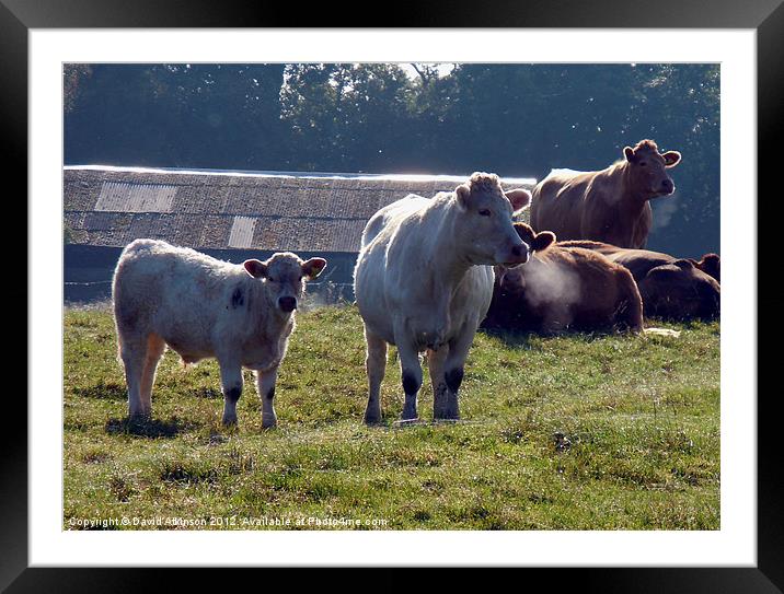 YOU CAN SEE YOUR BREATH Framed Mounted Print by David Atkinson