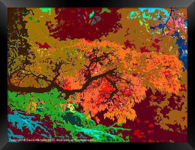 ABSTRACT AUTUMN COLOURS Framed Print by David Atkinson
