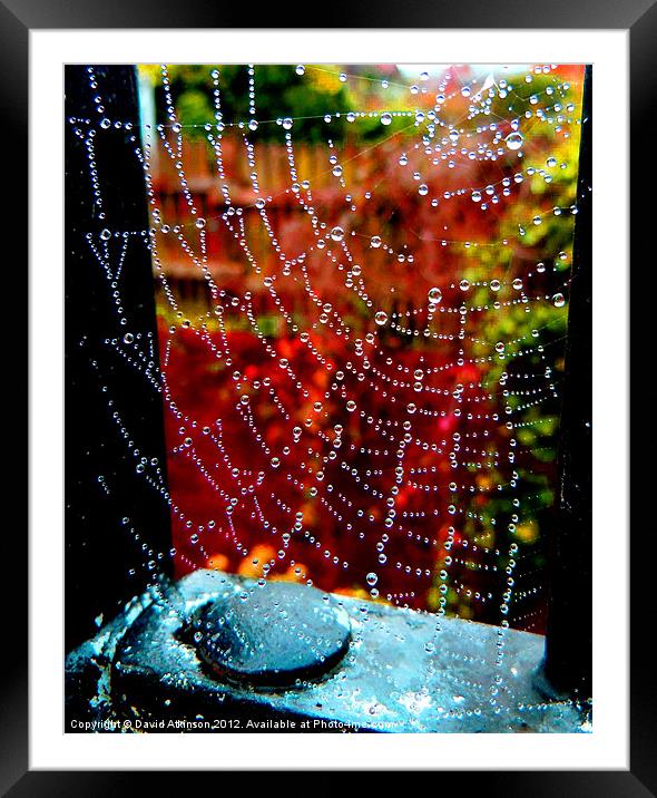 AUTUMN WEB Framed Mounted Print by David Atkinson