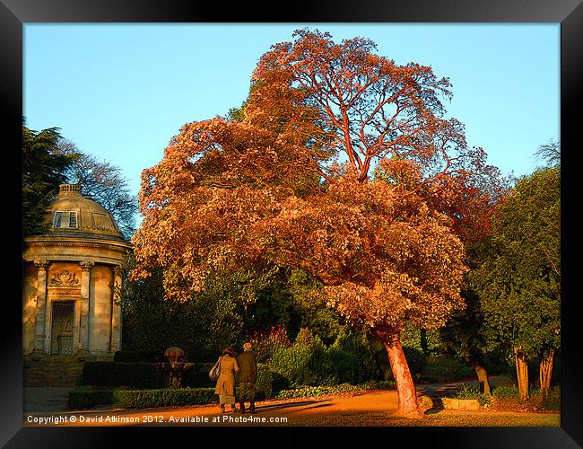 AUTUMN STROLL Framed Print by David Atkinson