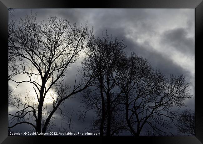 WINTER TREES Framed Print by David Atkinson