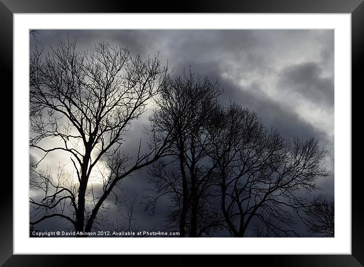 WINTER TREES Framed Mounted Print by David Atkinson