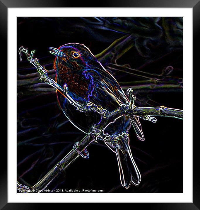 GLOWING EDGE BIRD Framed Mounted Print by David Atkinson