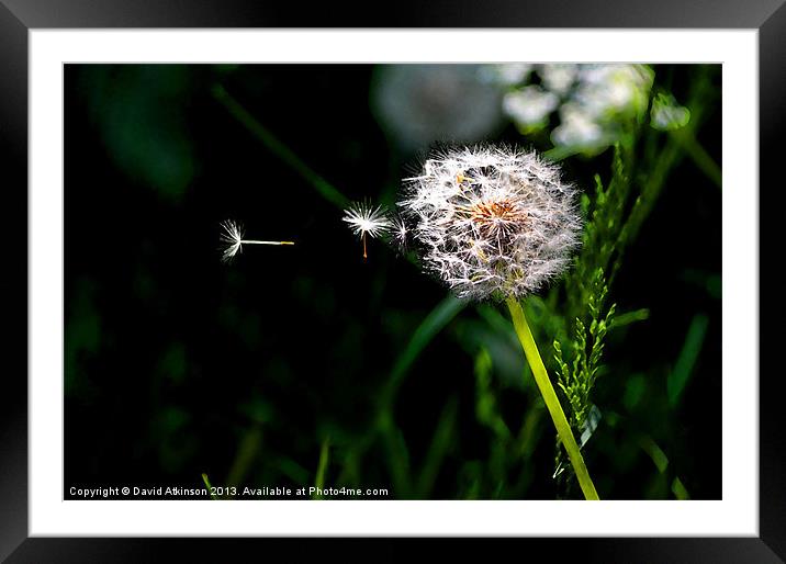 TIME FLIES Framed Mounted Print by David Atkinson