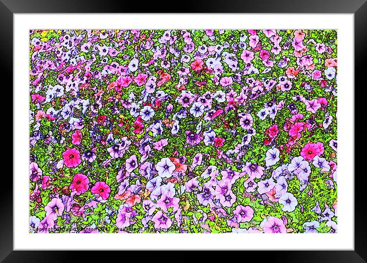 FLOWER POWER Framed Mounted Print by David Atkinson