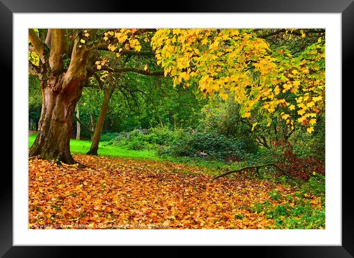 Autumn Leaves Framed Mounted Print by David Atkinson