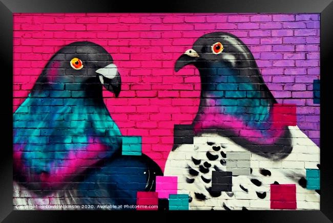 Pigeon art Framed Print by David Atkinson