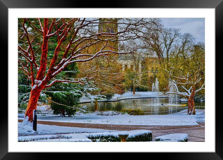 Winter in the park Framed Mounted Print by David Atkinson