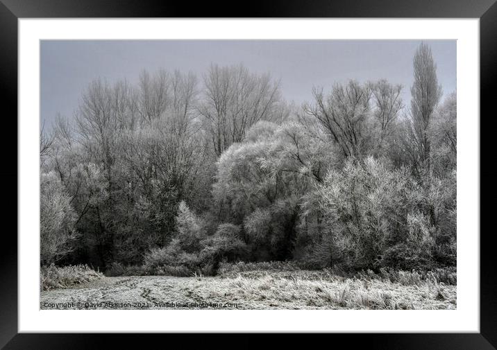 Winter Wonderland Framed Mounted Print by David Atkinson