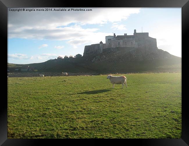 Holy Island of Lindisfarne Framed Print by angela morris