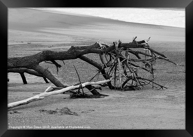 Beached Tree Framed Print by Stan Owen