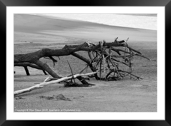 Beached Tree Framed Mounted Print by Stan Owen