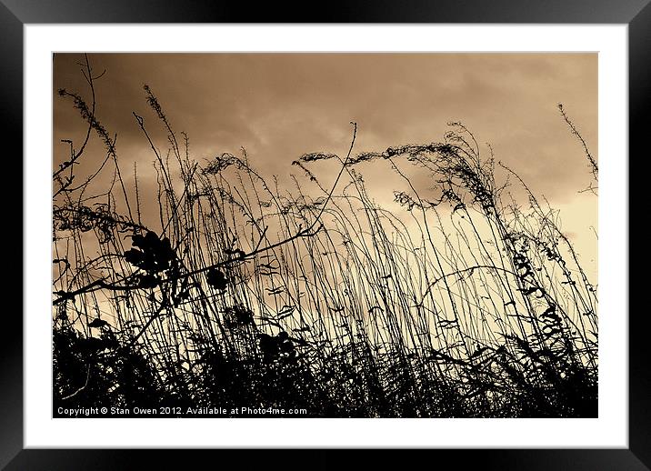 Grass and Sky Framed Mounted Print by Stan Owen