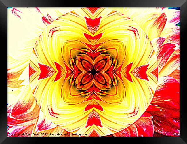 Crossed Petals Framed Print by Stan Owen