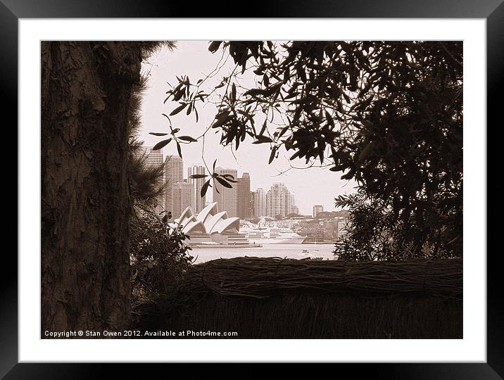 A View Through The Tree's Framed Mounted Print by Stan Owen