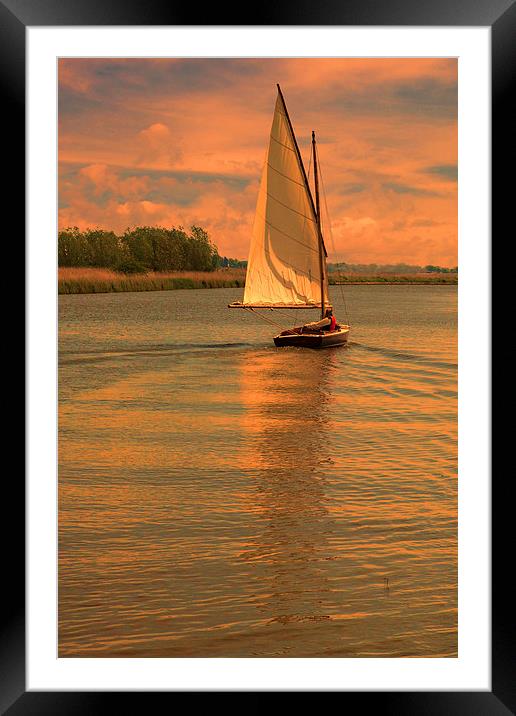 Last sail before bed Framed Mounted Print by Mark Bunning
