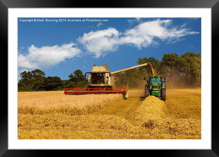 Harvesting the crop Framed Mounted Print by Mark Bunning