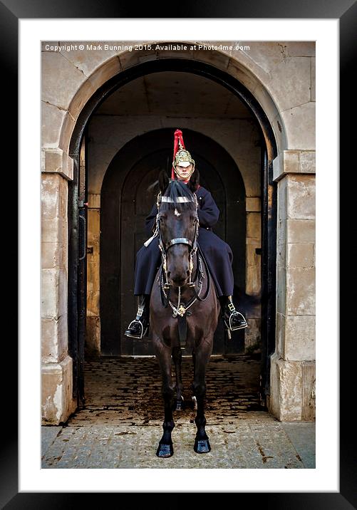 On sentry duty Framed Mounted Print by Mark Bunning