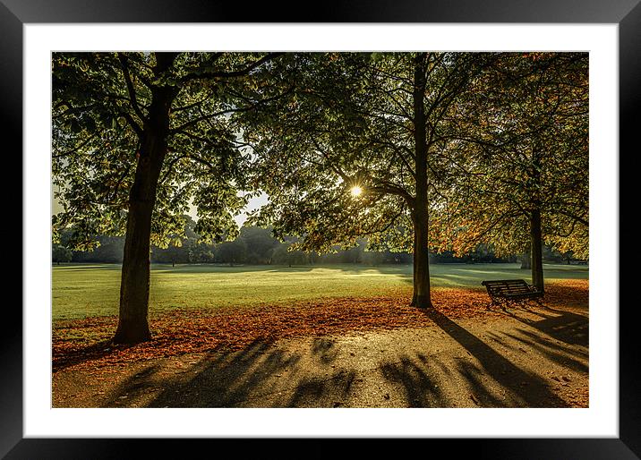 Sunrise in the Park Framed Mounted Print by Vinicios de Moura