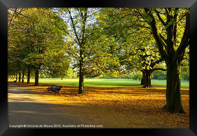 Autumn Morning in the park Framed Print by Vinicios de Moura
