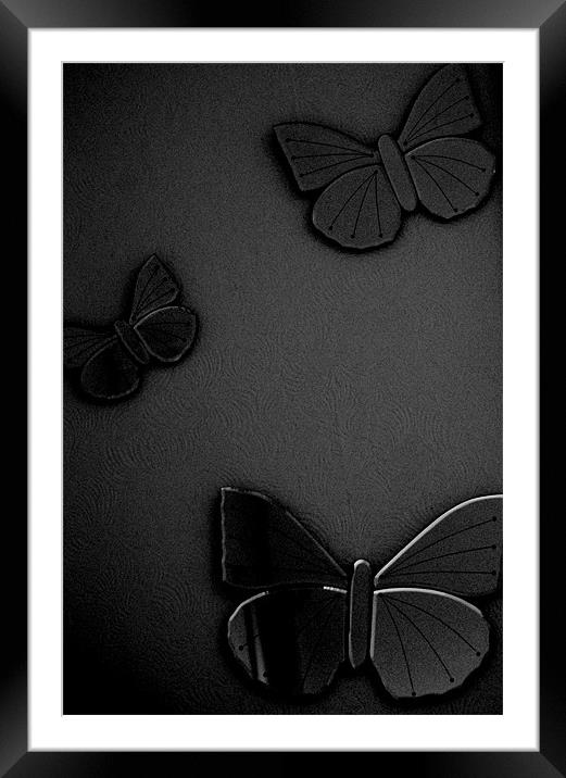 Butterfiles Framed Mounted Print by Frankie Arkell