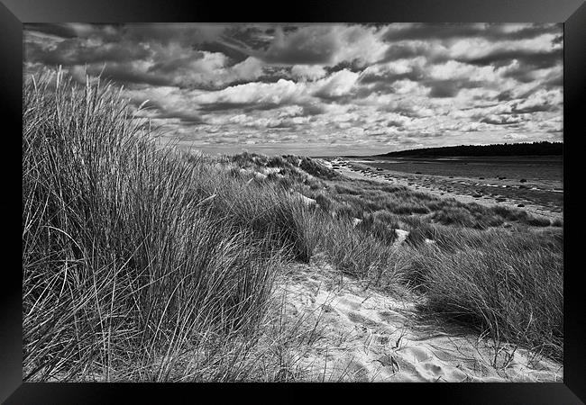 Norfolk Beach Framed Print by Sam Burton