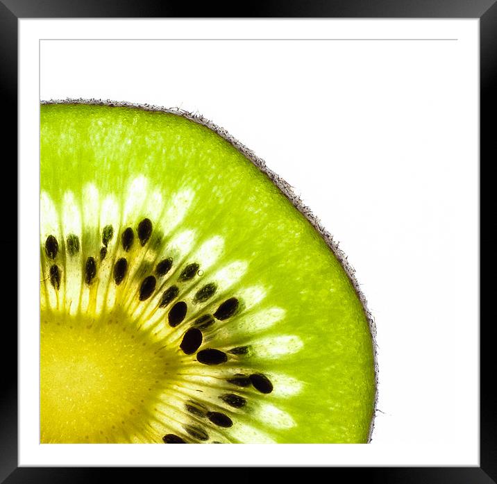 Kiwi Framed Mounted Print by Sam Burton