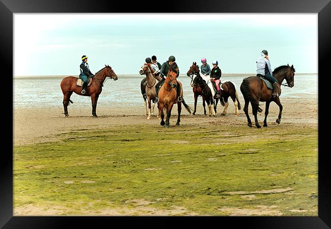 Horses Training on the Causeway to Lindisfarne, No Framed Print by Paul M Baxter