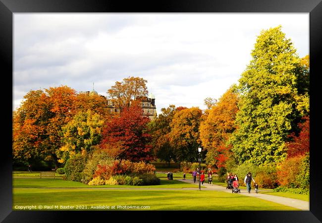 Autumn in The Valley Gardens Framed Print by Paul M Baxter