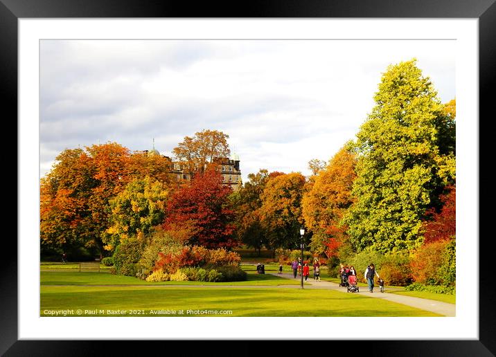 Autumn in The Valley Gardens Framed Mounted Print by Paul M Baxter
