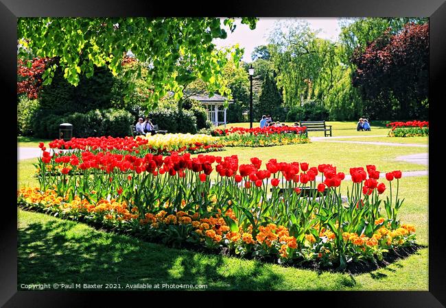 The Valley Gardens in Spring   Framed Print by Paul M Baxter