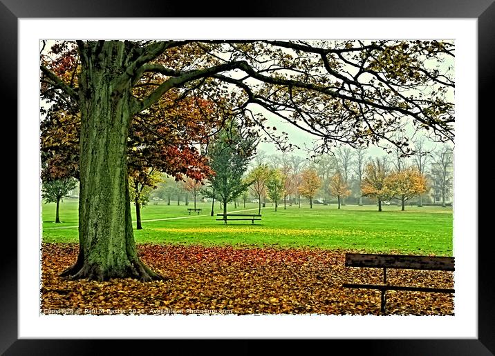 West Park Stray Framed Mounted Print by Paul M Baxter