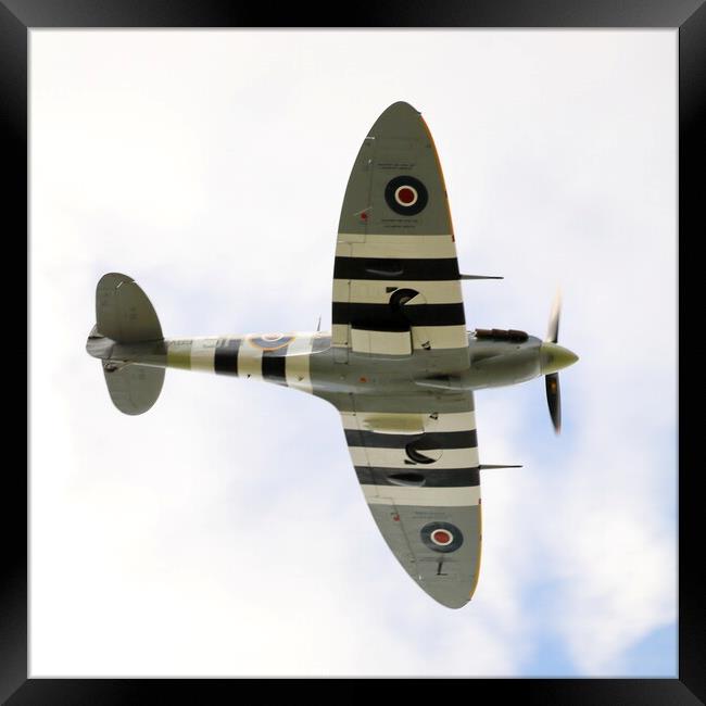 Spitfire in Flight Framed Print by Paul M Baxter
