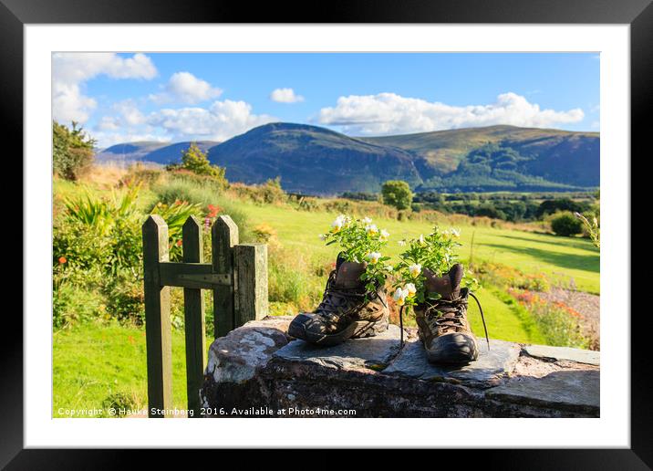 Boots and flowers at Ennerdale in the Lake Distric Framed Mounted Print by Hauke Steinberg