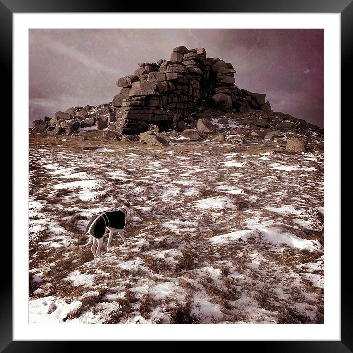 Whippet at Wintry West Mill Tor Framed Mounted Print by Jon Short