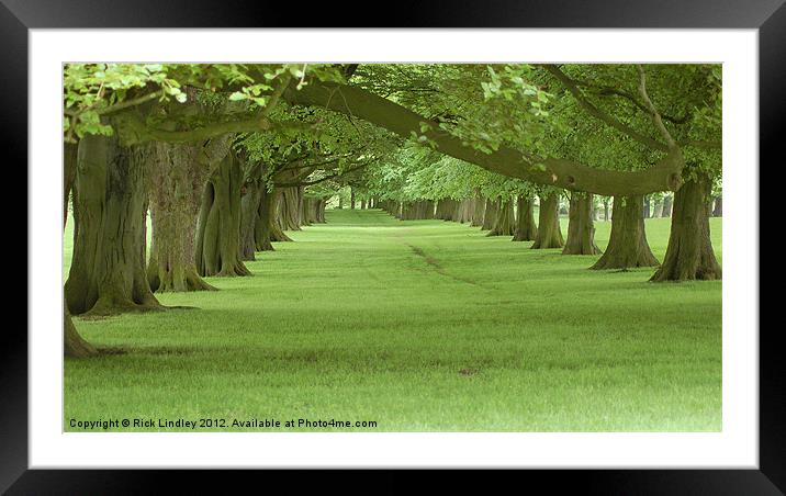 Tatton park Framed Mounted Print by Rick Lindley