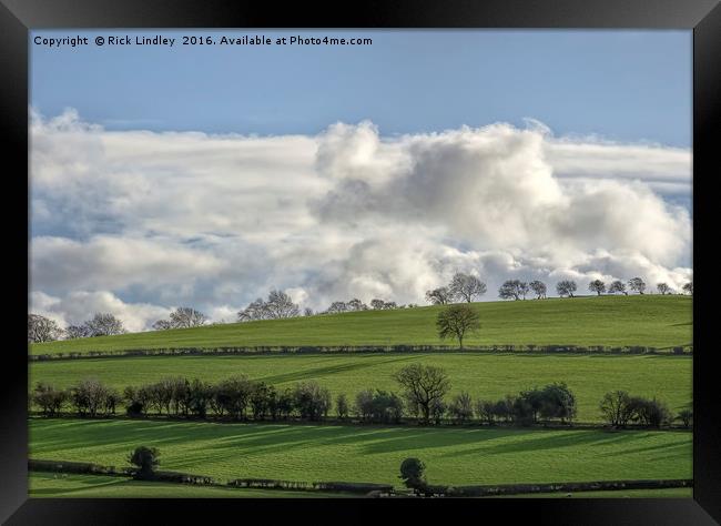 Tree Line Framed Print by Rick Lindley