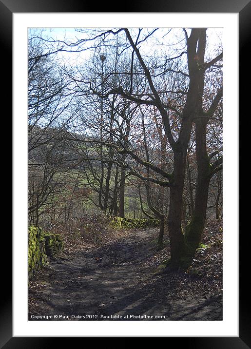 Woodland path between Golcar and Linthwaite Framed Mounted Print by Paul Oakes