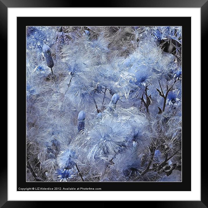 Thistle Down in Blue Framed Mounted Print by LIZ Alderdice