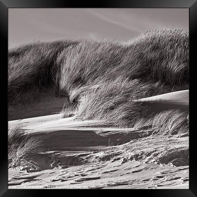 Sand Dunes in Sepia Framed Print by LIZ Alderdice