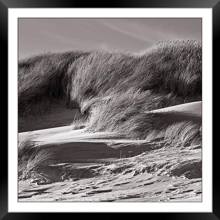Sand Dunes in Sepia Framed Mounted Print by LIZ Alderdice