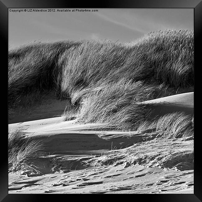 Sand Dunes Framed Print by LIZ Alderdice