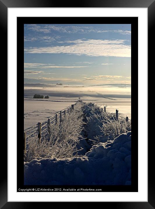 Still Life - Frozen Scotland Framed Mounted Print by LIZ Alderdice