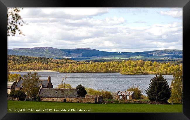 Loch Kinord Framed Print by LIZ Alderdice