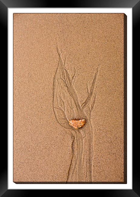 Sand Art Framed Print by LIZ Alderdice